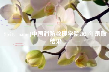 山东中国消防救援学院2020年录取结果