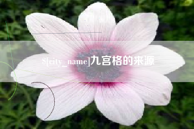 山东九宫格的来源