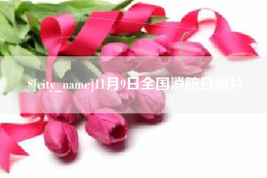山东11月9日全国消防日图片