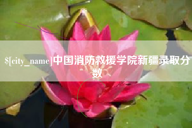 山东中国消防救援学院新疆录取分数