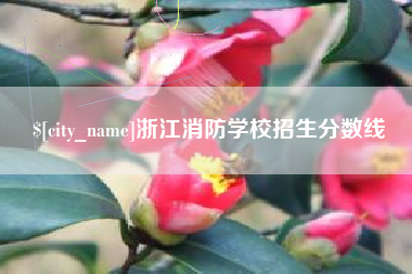 山东浙江消防学校招生分数线