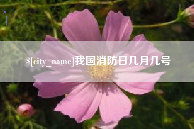 山东我国消防日几月几号