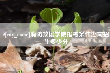 山东消防救援学院报考条件湖南招生多少分
