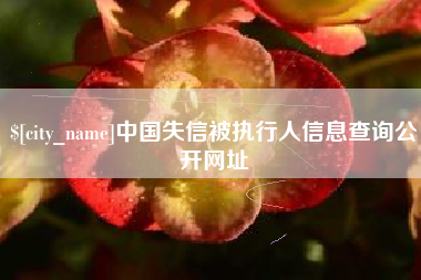 山东中国失信被执行人信息查询公开网址