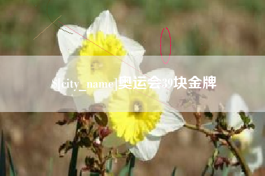 山东奥运会39块金牌