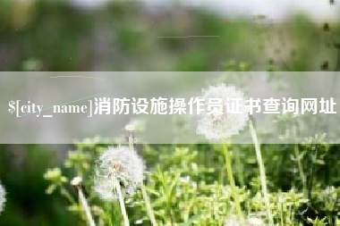 山东消防设施操作员证书查询网址