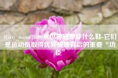 山东5000米世界冠军穿什么鞋-它们是运动员取得优异成绩背后的重要“功臣”