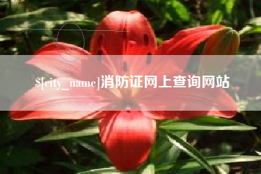山东消防证网上查询网站