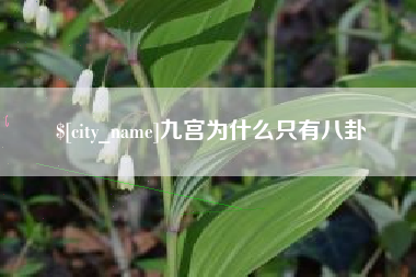 山东九宫为什么只有八卦