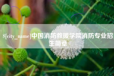 山东中国消防救援学院消防专业招生简章
