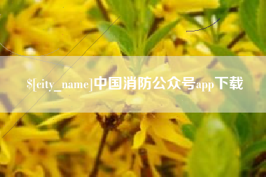 山东中国消防公众号app下载