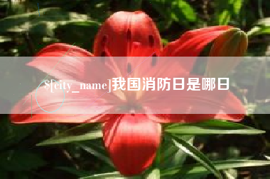 山东我国消防日是哪日