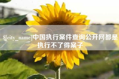 山东中国执行案件查询公开网都是执行不了得案子