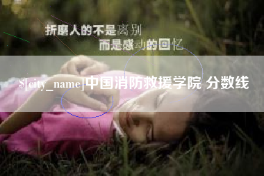 山东中国消防救援学院 分数线