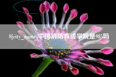 山东中国消防救援学院是985吗