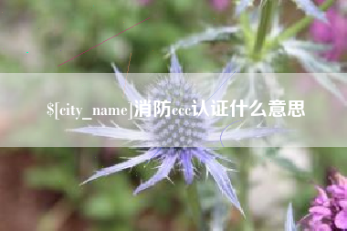 山东消防ccc认证什么意思