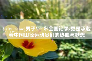 山东男子5000米全国记录-更是承载着中国田径运动员们的热血与梦想