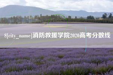 山东消防救援学院2020高考分数线