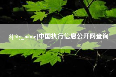 山东中国执行信息公开网查询