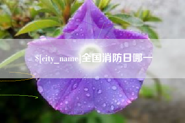 山东全国消防日哪一
