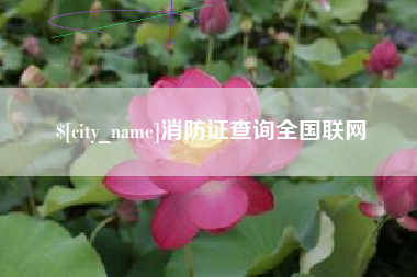 山东消防证查询全国联网