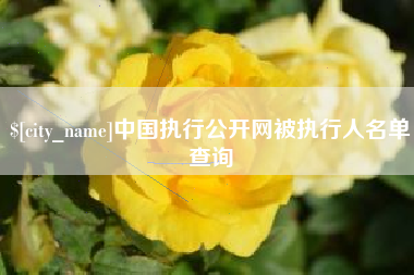 山东中国执行公开网被执行人名单查询