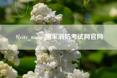 山东国家消防考试网官网