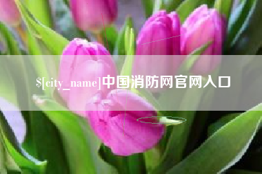 山东中国消防网官网入口