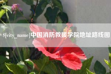 山东中国消防救援学院地址路线图
