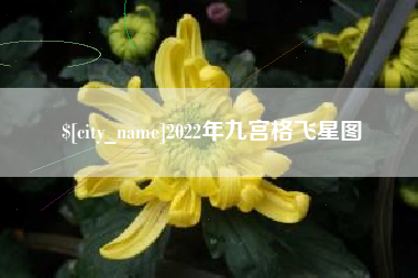 山东2022年九宫格飞星图