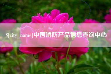 山东中国消防产品信息查询中心