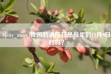 山东我国的消防日是每年的11月9日对吗？