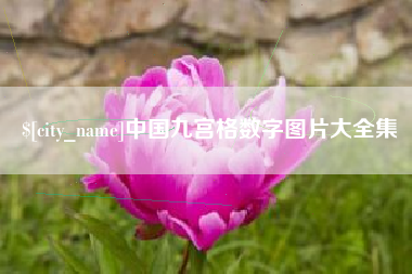 山东中国九宫格数字图片大全集