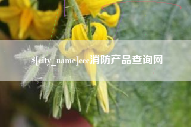 山东ccc消防产品查询网