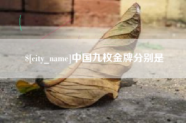 山东中国九枚金牌分别是