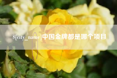 山东中国金牌都是哪个项目