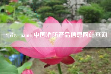 山东中国消防产品信息网站查询