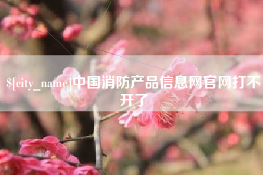 山东中国消防产品信息网官网打不开了