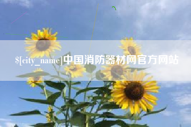 山东中国消防器材网官方网站