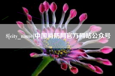 山东中国消防网官方网站公众号