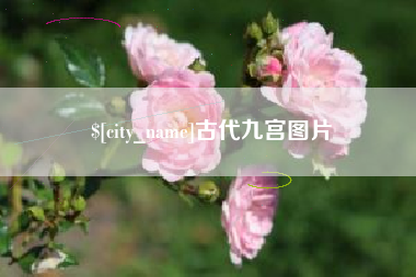 山东古代九宫图片