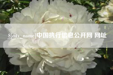 山东中国执行信息公开网 网址