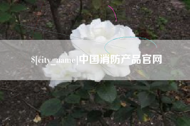 山东中国消防产品官网