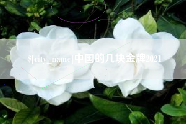 山东中国的几块金牌2021