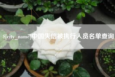 山东中国失信被执行人员名单查询