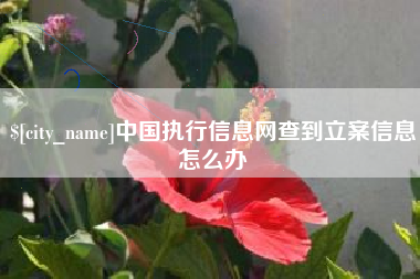 山东中国执行信息网查到立案信息怎么办