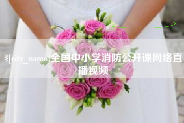 山东全国中小学消防公开课网络直播视频