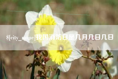 山东我国消防日是几月几日几日