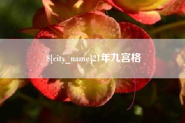 山东21年九宫格