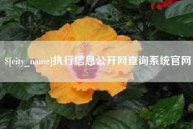 山东执行信息公开网查询系统官网